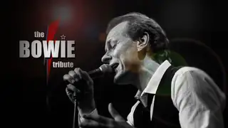 The BOWIE Tribute (DK) - En kjærlighetsforklaring og hyldest til David Bowie