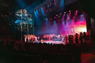 Guest Performance: Love is all