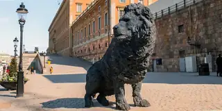 Taiteilijapuhelu Davide Rivaltan kanssa