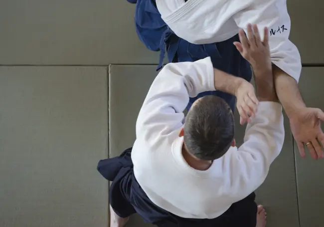 Попробуйте айкидо в Vanadis Aikido — Vanadis Aikido, Odenplan, STOCKHOLM