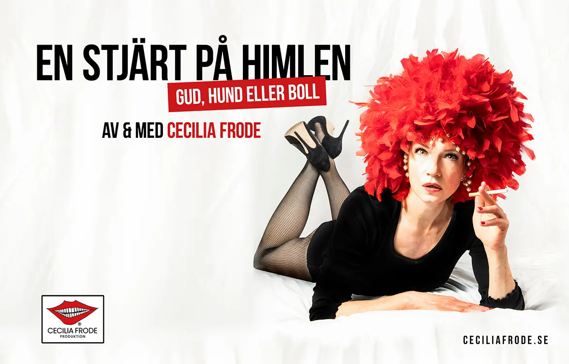 Cecilia Frode - En Stjärt på Himlen, Gud Hund eller Boll — Aftonstjärnan, Göteborg