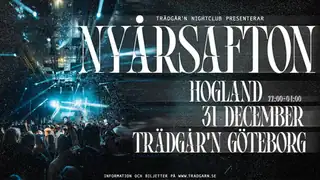 Новогодняя ночь - в Трэдгорне
