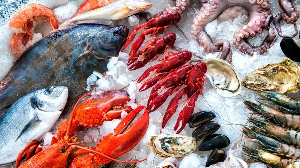 Дегустация вин - Рыба и морепродукты — Matstudions bakficka, KARLSTAD