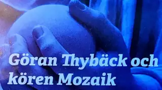 Демократия такой, какой она была задумана