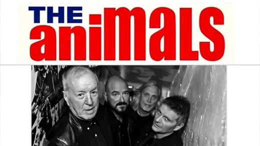 The Animals — Katalin, Uppsala