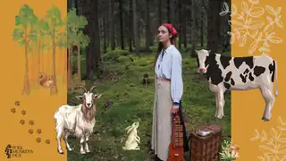 Skog av toner på höstlovet