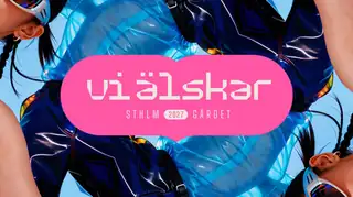 Vi Älskar 2027