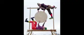 Automata akrobata
