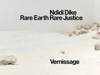 Вернисаж - Ндиди Дайк: Rare Earth Rare Justice