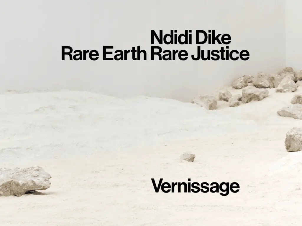 Vernissage för Ndidi Dike – Rare Earth Rare Justice — Färgfabriken, Stockholm