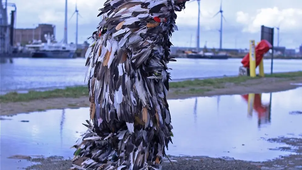 Still a bird — Reimersholme Hotel, Стокгольм