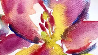 Open Studio