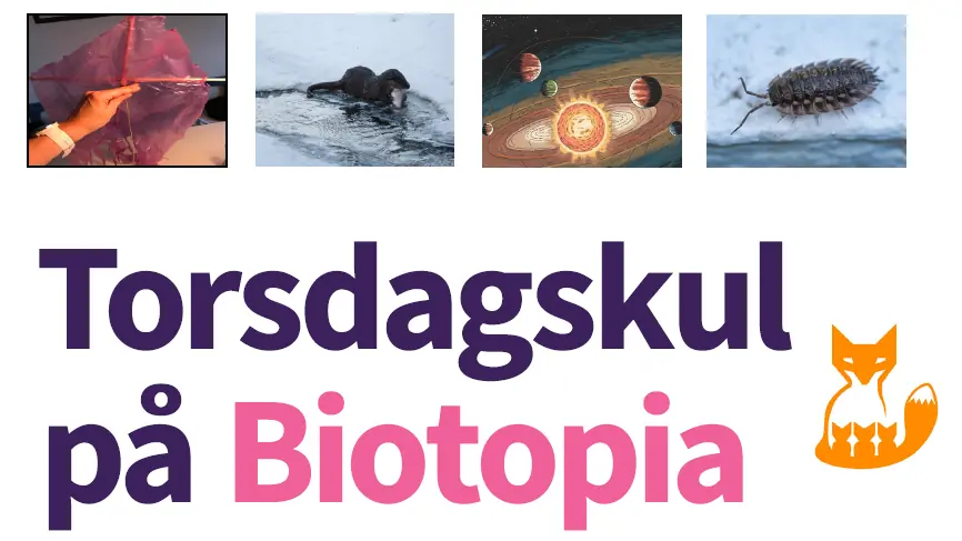 Торсдагскул - Тема: Яблоки (3/9 & 10/9) — Biotopia, Уппсала