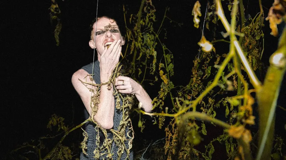 Norrdans: Núx brúx — Christinasalen, Piteå