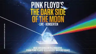 Pink Floyd's The Wall - Live Concert