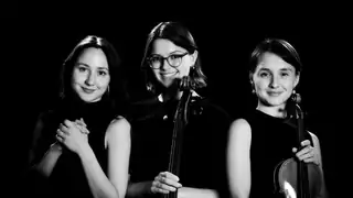 Trio Vita