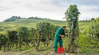 Exclusive Wine Tasting - Diego Morra, Piedmont