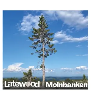 Latewood — Twang, Stockholm