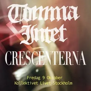 TOMMA INTET — Kollektivet Livet Bar och Scen, Stockholm