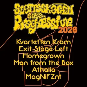Man from the Box — Slottsskogen, Gothenburg