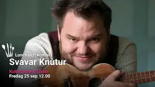 Lunch and Concert - Svavar Knútur