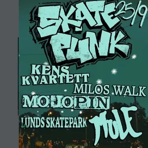 Mule — Söderlyckan Skateboardpark, Lund