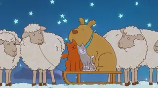 TOMMY TASS får en ny vän (Tal: Svenska (dubbat))