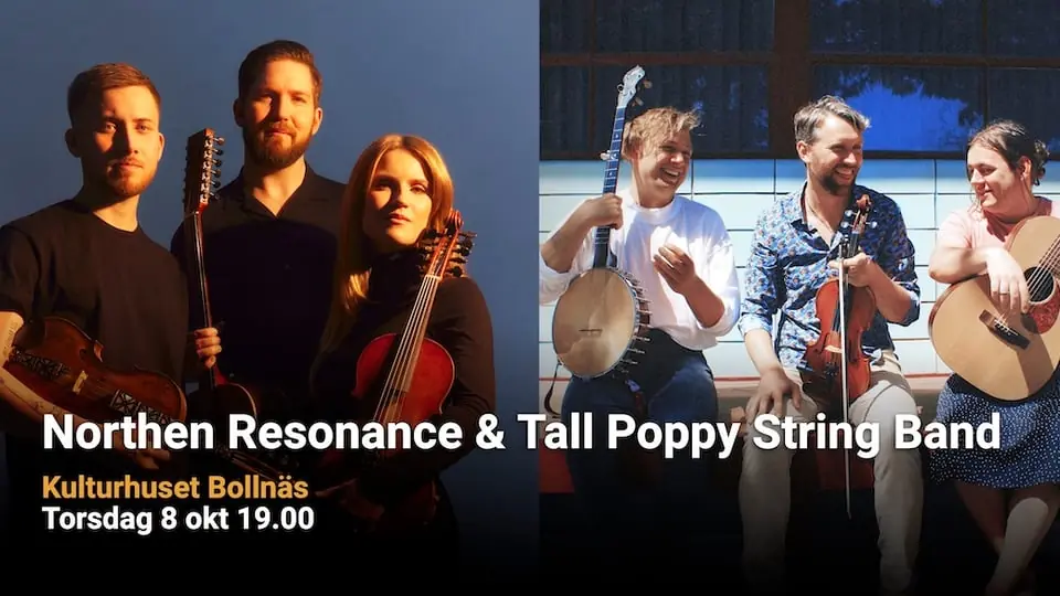 Northen Resonance & Tall Poppy String Band — Peter Stormaresalen, Bollnäs