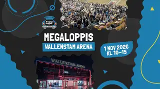 Megaloppis Wallenstam Arena 1 NOV