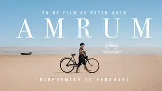 Amrum