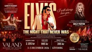 Christmas Dinner Show at Valand