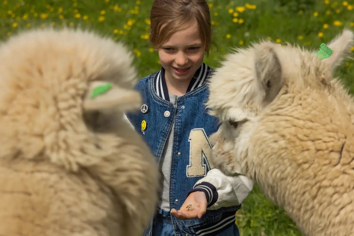 Follow Along on Djurrunda Every Saturday and Sunday — siggesta gård, VÄRMDÖ