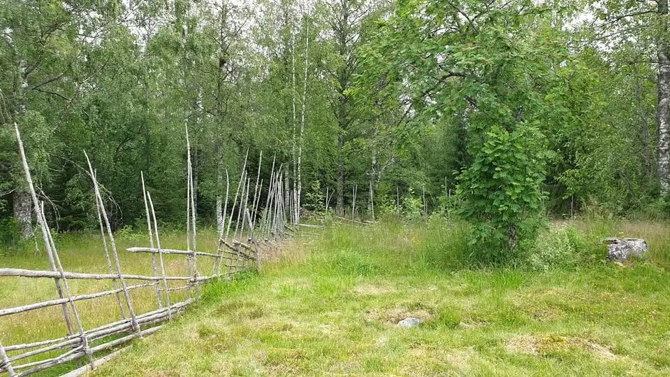 Become a Forest Detective and Solve Historical Puzzles — Dalarnas museum, Falun