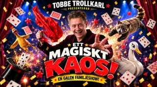 Tobbe Trollkarl - A Magical Chaos
