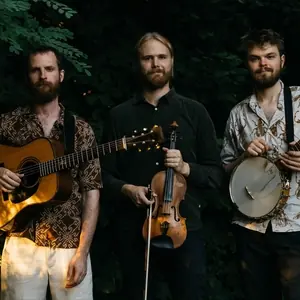 New Valley String Band — Mölle kapell, Mölle