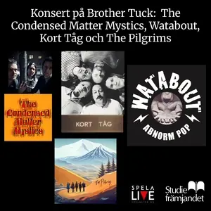 The Condensed Matter Mystics — Brother Tuck, Stockholm