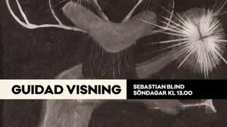 Guided Tour: Sebastian Blind