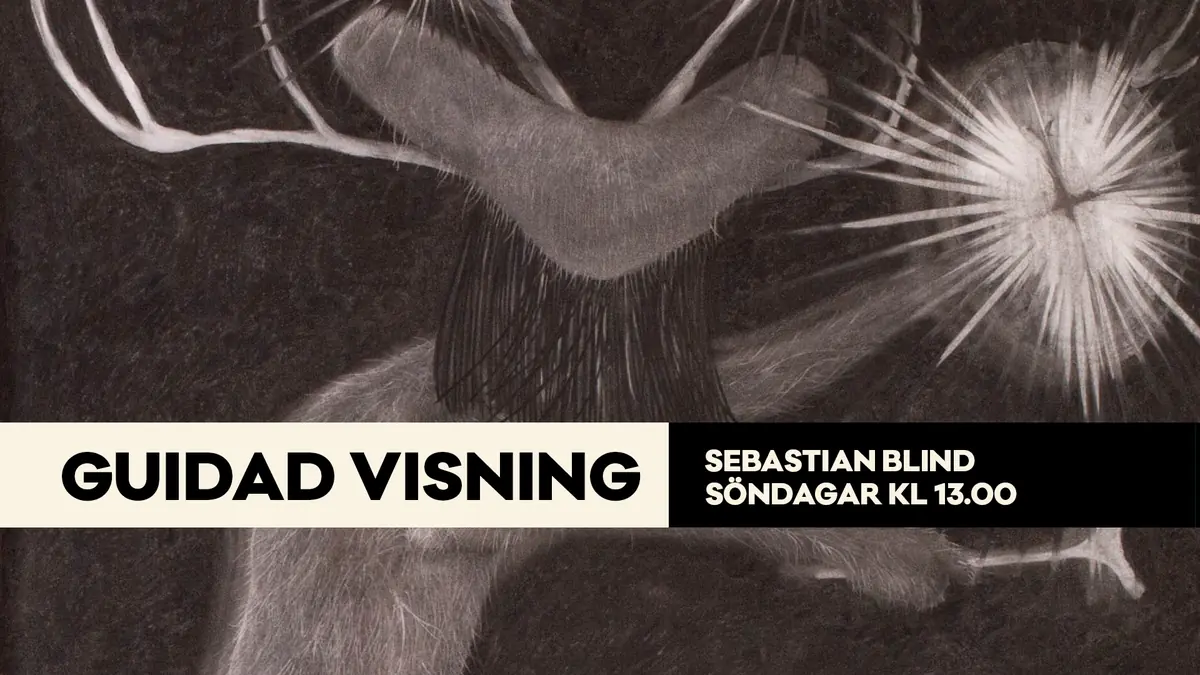 Guided Tour: Sebastian Blind — Bror Hjorths Hus, Uppsala
