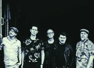 Blå Kaktus - The Kokomo Kings — Hallarna • Entre Bråddgatan, Norrköping