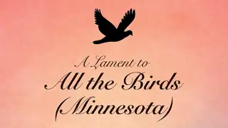 Archives Day - A Lament to All the Birds (Minnesota)