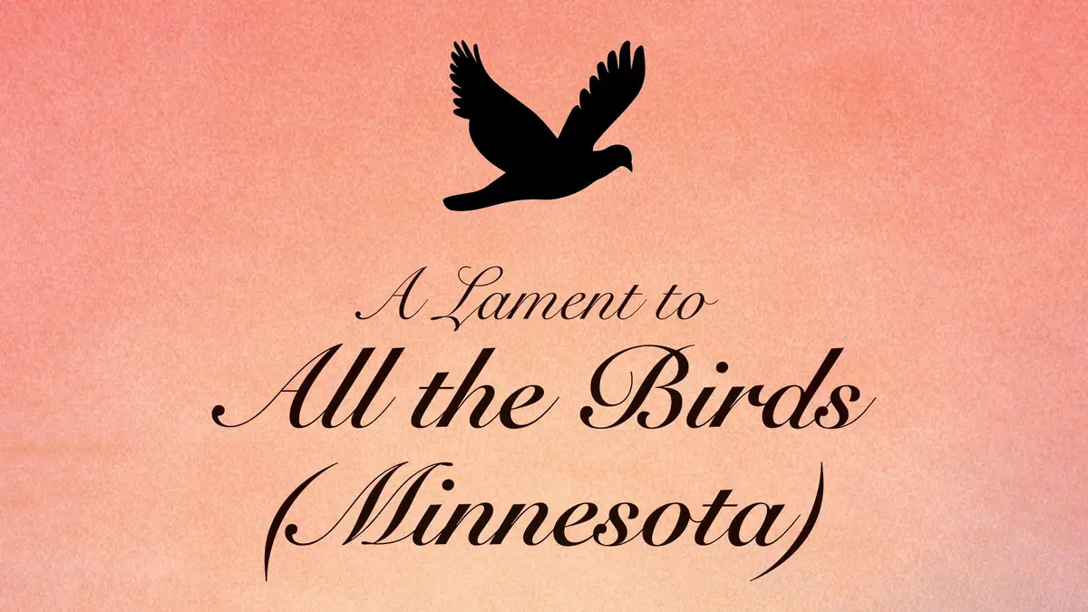 Archives Day - A Lament to All the Birds (Minnesota) — Smålands museum, Växjö