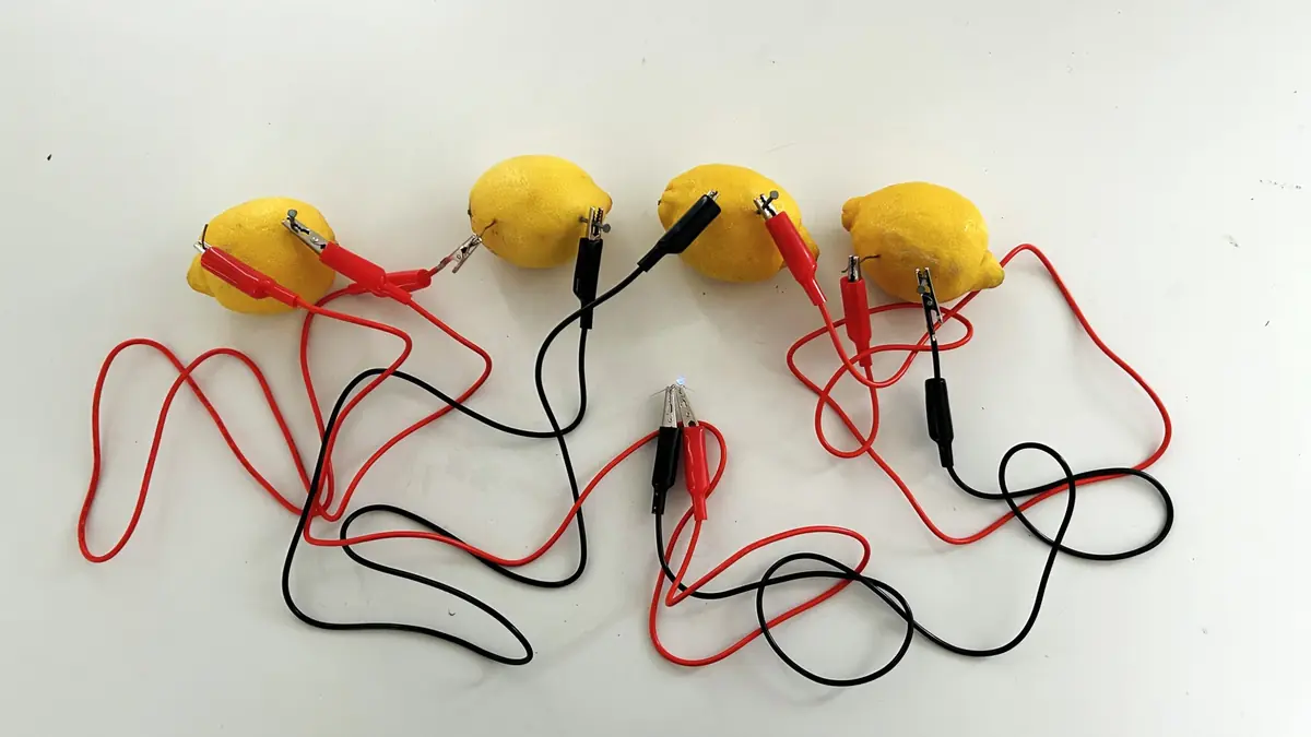 Autumn Break: Light a Lamp with a Lemon Battery! — Regionmuseet Kristianstad, Kristianstad