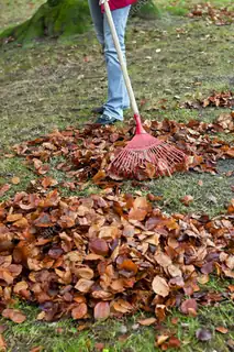 Autumn Clean-up 2026