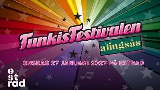 Funkisfestivalen på Estrad 2027
