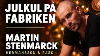 Joululaulanta Fabrikalla - Martin Stenmarck, Hermansson