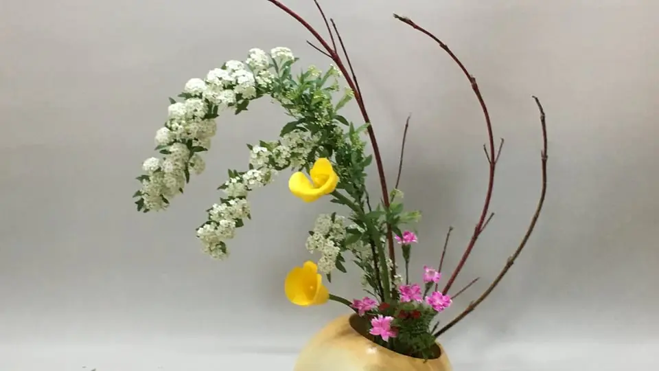 Ikebana: Otsukimi - Moon Festival — Etnografiska museet, Stockholm
