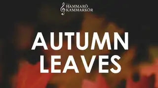 Autumn Leaves - Hammarö Kammarkör