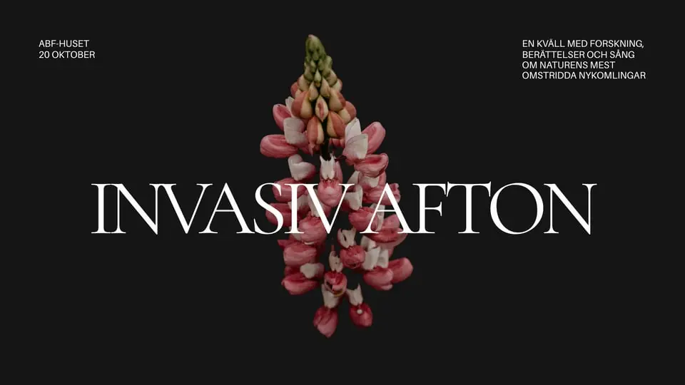 Invasive Evening — ABF-huset, Sveavägen 41, Stockholm