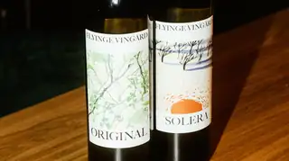 Wine Tasting with Flyinge Vingård