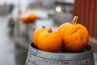 Autumn Break in Sandhamn